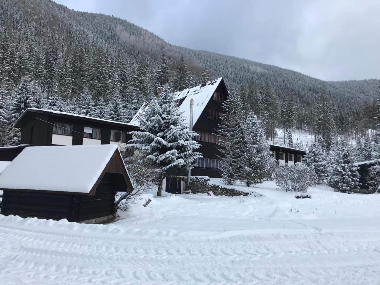 Horska Chata Primula - 1000 M Nad Morom Zuberec Dış mekan fotoğraf